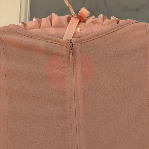 Anthropologie sheer dusty pink dress - Picture 7 of 9